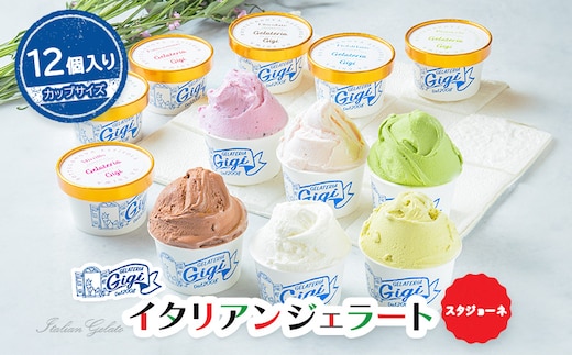 ジェラテリアGigiイタリアンジェラート６種【カップサイズ12個】【43001601】