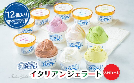 ジェラテリアGigiイタリアンジェラート６種【カップサイズ12個】【43001602】