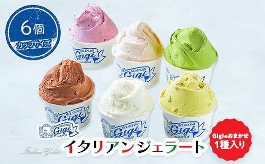 ジェラテリアGigiのイタリアンジェラート６種(Gigiのおまかせ1種入り）【カップサイズ6個】【43003202】