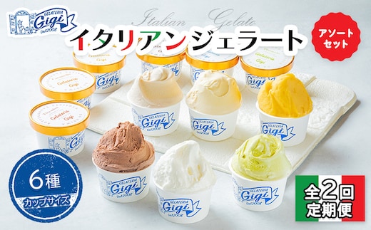 【定期便：全2回】ジェラテリアGigiのイタリアンジェラート6種アソートセットカップサイズ【43004101】