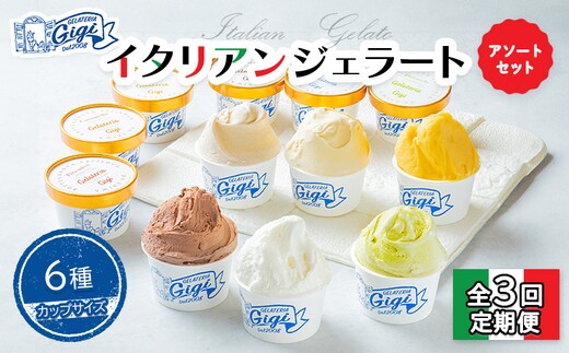 【定期便：全3回】ジェラテリアGigiのイタリアンジェラート6種アソートセットカップサイズ【43004202】