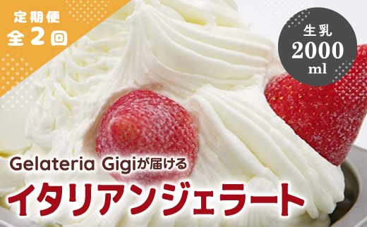 【定期便：全2回】ジェラテリアGigiのイタリアンジェラート『生乳』2000ml【43004503】