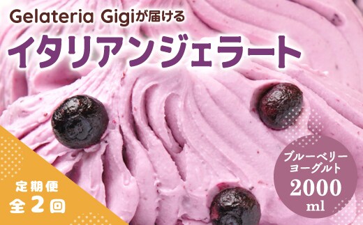 【定期便：全2回】ジェラテリアGigiのイタリアンジェラート『ブルーベリーヨーグルト』2000ml【43005703】