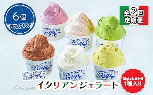 【定期便：全2回】ジェラテリアGigiのイタリアンジェラート６種(Gigiのおまかせ1種入り）【カップサイズ6個】 (牛乳、ピスタチオ、抹茶、チョコレート、ブルーベリーヨーグルト、Gelateria Gigiが選ぶおまかせジェラート)【43006701】