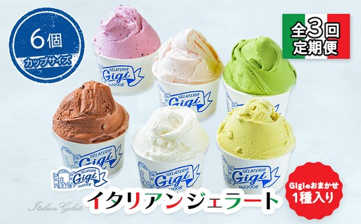 【定期便：全3回】ジェラテリアGigiのイタリアンジェラート６種(Gigiのおまかせ1種入り）【カップサイズ6個】 (牛乳、ピスタチオ、抹茶、チョコレート、ブルーベリーヨーグルト、Gelateria Gigiが選ぶおまかせジェラート)【43006802】