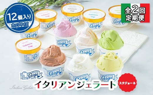 【定期便：全2回】ジェラテリアGigiのイタリアンジェラート6種(Gigiのおまかせ1種入り）【カップサイズ12個】 (牛乳、ピスタチオ、抹茶、チョコレート、ブルーベリーヨーグルト、Gelateria Gigiが選ぶおまかせジェラート)x2【43006902】