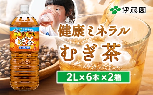健康ミネラル麦茶2L×6本×2箱【50000401】