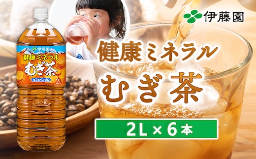 健康ミネラルむぎ茶2L×6本【50000701】