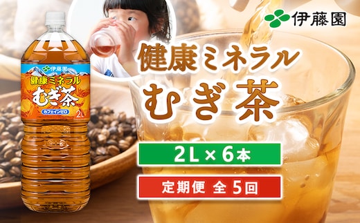 『定期便：全5回』健康ミネラルむぎ茶2L×6本【500010】