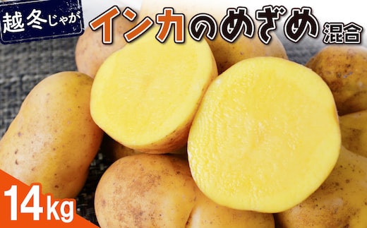 【越冬じゃが】インカのめざめ（混合） 14kg【83000202】