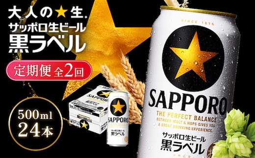 【定期便全2回】サッポロ黒ラベル500ml×24本【930050113902】