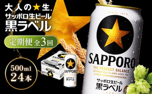 【定期便全3回】サッポロ黒ラベル500ml×24本【930050113903】
