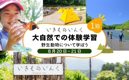 ＜2026年 8月20日(1泊)＞ 大自然での子ども体験学習キャンプ 野生動物について学ぼう！【imi-002】北海道 伊達市 アウトドア 自然体験 体験チケット