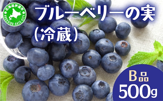 北海道 伊達市産 ブルーベリーの実 訳あり(B品／冷蔵) 500g｜国産 果物 フルーツ ジャム パイ お菓子作り【kzh-023】