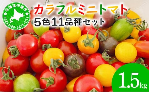＜先行予約＞カラフルミニトマトセット1.5kg【ffk-002】北海道 伊達市 野菜 新鮮 ふるさと納税 送料無料