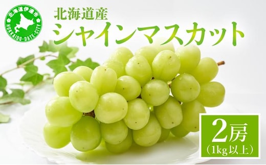 ＜先行予約＞シャインマスカット 2房（1kg以上）化粧箱入り