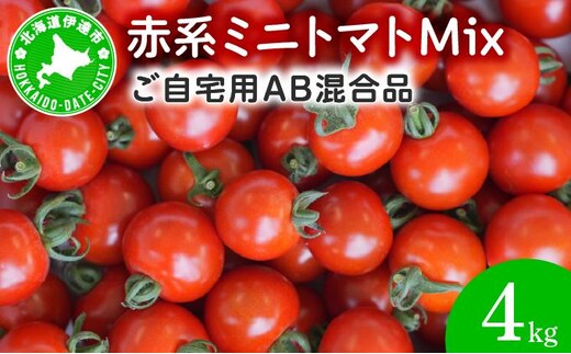 ＜先行予約＞赤系ミニトマトMix(たっぷり4kg)｜北海道 伊達市 野菜 新鮮 ふるさと納税 送料無料【ffk-005】