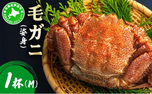 毛ガニ（姿身）Mサイズ 1尾 ogm-015