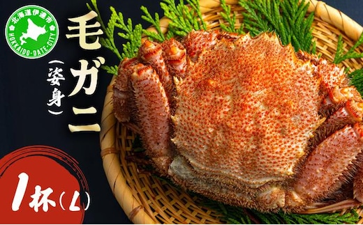 毛ガニ（姿身）Lサイズ 1尾 ogm-017