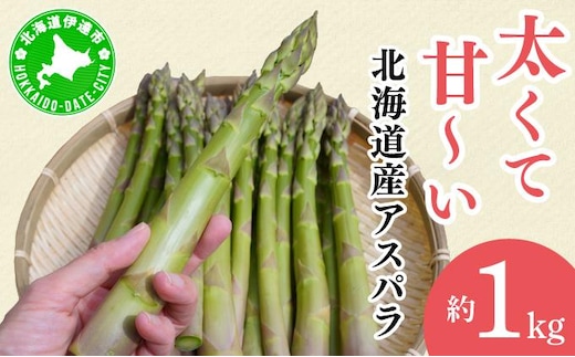 【2026年先行予約】太くてあまーい 北海道産 春芽 アスパラ (約1kg／LL中心＋3L・L混合) 先行予約 新鮮 採れたて直送 旬 野菜 あすぱら 農家直送 北海道 55251208 