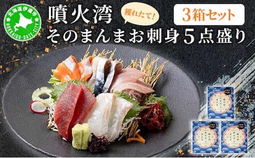 噴火湾そのまんま お刺身5点盛り(わさび・醤油付き)3箱 旬菜一鮮 だて大和屋 厳選 魚介 海鮮 刺身 刺し身 小分け 新鮮 魚介類 魚貝類 加工食品 贈答 ギフト 贈り物 ご褒美【55251174】