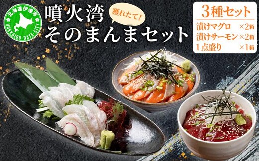 噴火湾そのまんま 漬けマグロ2箱、漬けサーモン2箱、お刺身1点盛り1箱の計5箱 旬菜一鮮 だて大和屋 厳選 魚介 海鮮 刺身 刺し身 小分け 新鮮 魚介類 魚貝類 加工食品 贈答 ギフト 贈り物 ご褒美【55251122】