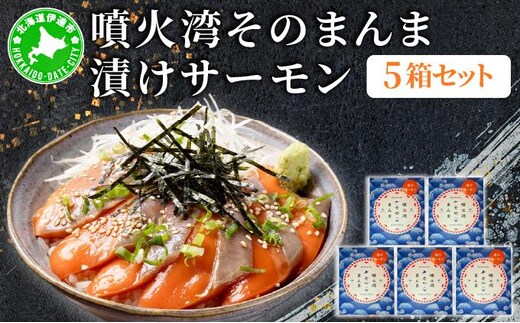 噴火湾そのまんま 漬けサーモン(わさび・醤油・海苔付き)5箱 旬菜一鮮 だて大和屋 厳選 魚介 海鮮 刺身 刺し身 小分け 新鮮 魚介類 魚貝類 加工食品 贈答 ギフト 贈り物 ご褒美【55251120】