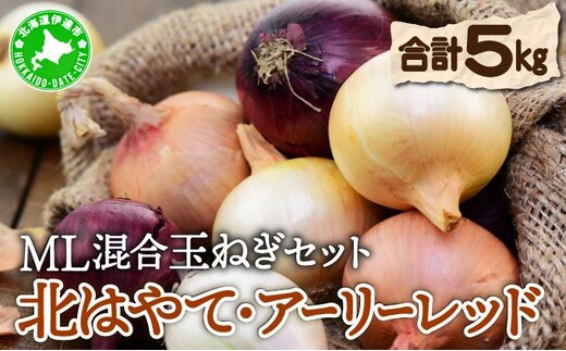【 2026年 発送 】 先行予約 北海道 玉ねぎ 各2.5kg (計約5kg) M-L混合 北はやて アーリーレッド【55251005】タマネギ たまねぎ 玉葱 玉ネギ レッドオニオン オニオン 伊達野菜 野菜 新鮮 採れたて 産地直送 木須農園 送料無料