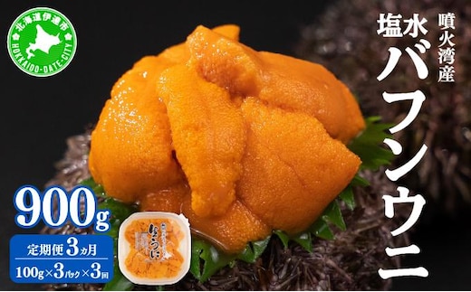 【定期便3カ月】北海道 噴火湾産 塩水 バフンウニ 100g 3パック うに ウニ 雲丹 海鮮 海の幸 魚介類 ウニ丼 お寿司 濃厚 無添加 産地直送 産直 お取り寄せ 山村水産 送料無料【55250994】