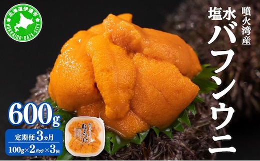 【定期便3カ月】北海道 噴火湾産 塩水 バフンウニ 100g 2パック うに ウニ 雲丹 海鮮 海の幸 魚介類 ウニ丼 お寿司 濃厚 無添加 産地直送 産直 お取り寄せ 山村水産 送料無料【55250993】