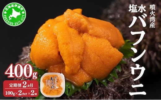 【定期便2カ月】北海道 噴火湾産 塩水 バフンウニ 100g 2パック うに ウニ 雲丹 海鮮 海の幸 魚介類 ウニ丼 お寿司 濃厚 無添加 産地直送 産直 お取り寄せ 山村水産 送料無料【55250990】