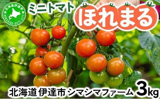 【 2026年発送 】 先行予約 北海道 伊達市 ミニトマト ほれまる 3kg 【オンライン決済限定】55250962