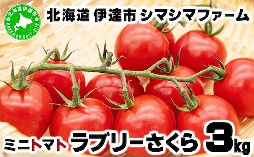 【 2026年発送 】先行予約 北海道 伊達市 ミニトマト ラブリーさくら 3kg 【オンライン決済限定】55250961