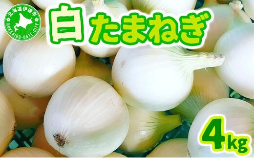 【2026年6月中旬発送】白玉ねぎ 4kg 北海道 伊達産 タマネギ 玉葱 サラダ [famy-002]