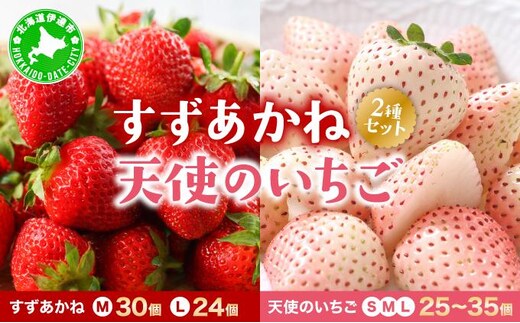 ＜先行予約＞ 北海道 伊達市 天使のいちご（S～Lサイズ 25～35個） すずあかね（Mサイズ30個またはLサイズ24個）【55250948】苺 イチゴ スイーツ デザート 果物 甘い 赤 白 鮮やか 新鮮 ケーキ お菓子作り 希少