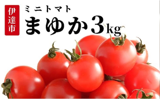 ＜先行予約＞北海道伊達産 ミニトマト まゆか 3kg【55250943】とまと 甘い 野菜 やさい 人気 新鮮 産地直送 農家直送 先行受付