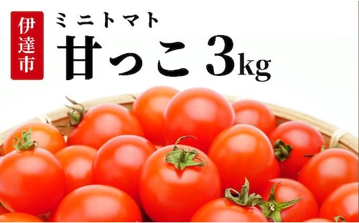 ＜先行予約＞北海道伊達産 ミニトマト 甘っこ 3kg【55250940】とまと 甘い 野菜 やさい 人気 新鮮 産地直送 農家直送 先行受付