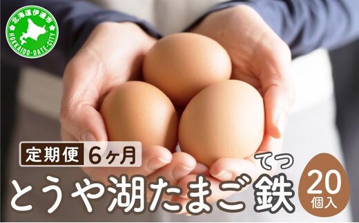 【6ヵ月 定期便】 北海道 伊達市 とうや湖 卵 鉄 20個 入り たまご【55250918】
