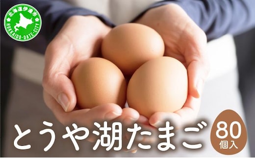 北海道 伊達市 とうや湖 卵 80個 入り たまご【55250913】