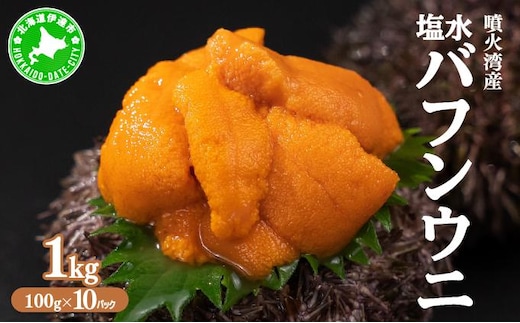 北海道 噴火湾産 塩水 バフンウニ 100g 10パック 計1kg うに ウニ 雲丹 海鮮 海の幸 魚介類 ウニ丼 お寿司 濃厚 無添加 産地直送 お取り寄せ 山村水産 送料無料【55250875】