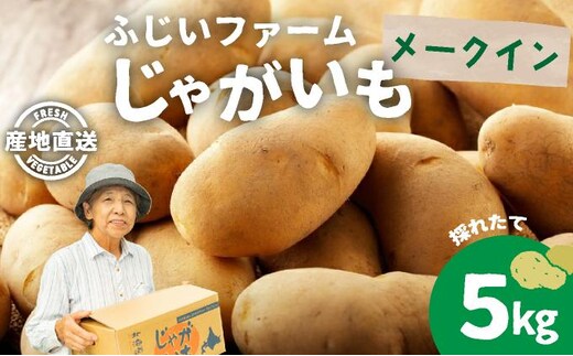 ＜先行予約＞北海道産 じゃがいも(メークイン) 約5kg【55250841】ジャガイモ 馬鈴薯 ポテト 芋 イモ 国産 野菜 人気 ふじいファーム