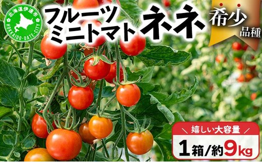 【2026年先行予約】北海道産 ミニトマト ネネ 約9kg フルーツトマト プチトマト 甘い 濃厚 彩り 鮮やか 希少 お中元 お歳暮 暑中見舞い 帰省土産 ご自宅用 産地直送 大滝農園 送料無料 北海道 伊達［55250836］