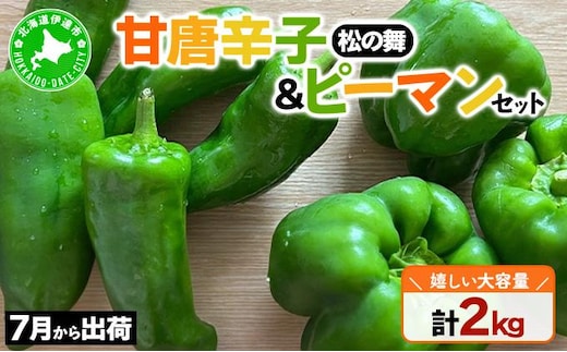 ＜先行予約＞北海道伊達産 大滝農園 甘唐辛子「松の舞」・ピーマン セット 約計2kg 野菜