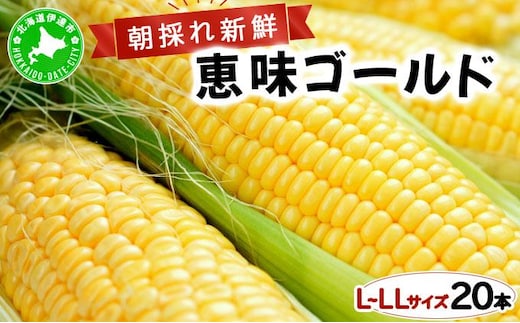 【 2026年先行予約】北海道 朝もぎ とうもろこし 恵味 ゴールド L-LLサイズ 20本 スイート コーン トウモロコシ とうきび 旬 完熟 野菜 採れたて 朝採り 甘い めぐみ 産地直送 道産 送料無料[55250829]