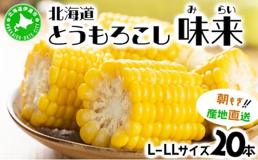＜先行予約＞【2026年発送】北海道産 とうもろこし 味来 L～LLサイズ 20本入り【55250823】トウモロコシ みらい ミライ とうきび スイート イエロー コーン 旬 新鮮 朝もぎ 農作物 甘い お取り寄せ 産地直送 送料無料