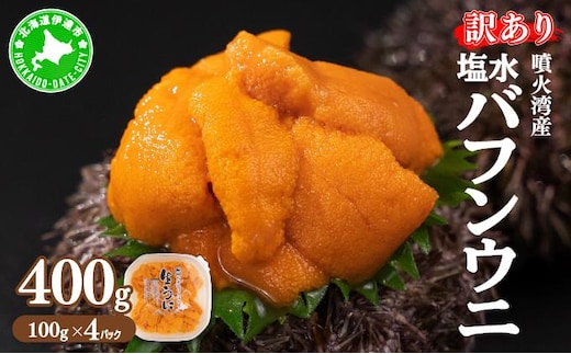 訳あり 北海道 噴火湾産 塩水 バフンウニ 100g 4パック 計400g うに ウニ 雲丹 海鮮 海の幸 魚介類 ウニ丼 お寿司 濃厚 無添加 産地直送 お取り寄せ 山村水産 送料無料【55250814】