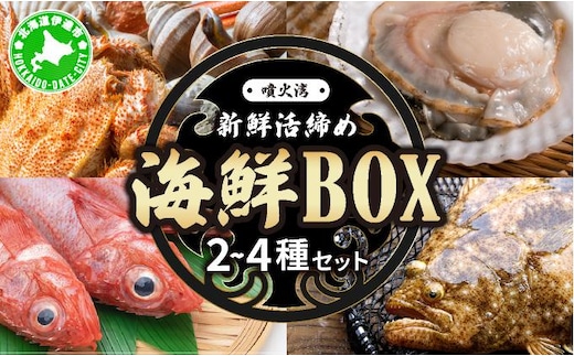 北海道 伊達 噴火湾 水揚げ 今野水産 新鮮 活締め 海鮮 BOX 2～4種セット【55250785】