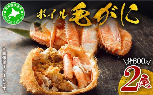 北海道 噴火湾産 冷凍 ボイル 毛がに 約300g×2尾【55250780】