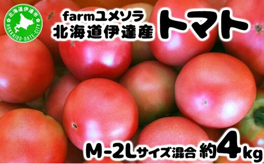 ◆2026年7月から順次出荷◆ farmユメソラ 大玉 トマト 約4kg【famy-001】