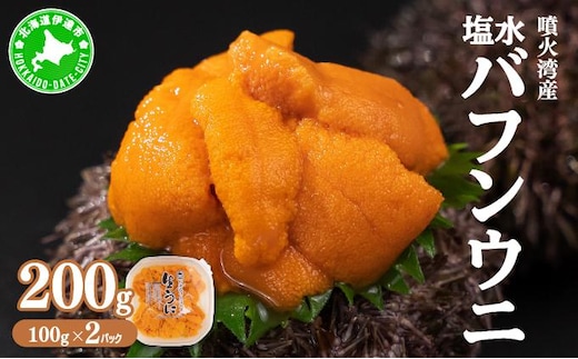 北海道 噴火湾産 塩水 バフンウニ 100g 2パック 計200g うに ウニ 雲丹 海鮮 海の幸 魚介類 ウニ丼 お寿司 濃厚 無添加 産地直送 お取り寄せ 山村水産 送料無料【55250662】